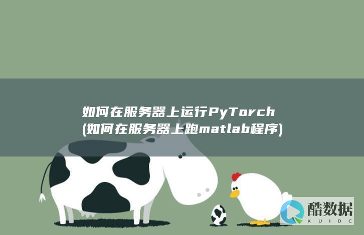 如何在服务器上运行PyTorch (如何在服务器上跑matlab程序)