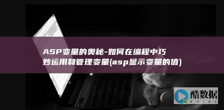 ASP变量的奥秘-如何在编程中巧妙运用和管理变量 (asp显示变量的值)