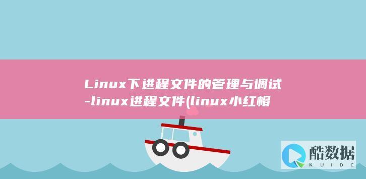 Linux下进程文件的管理与调试-linux进程文件 (linux小红帽系统)