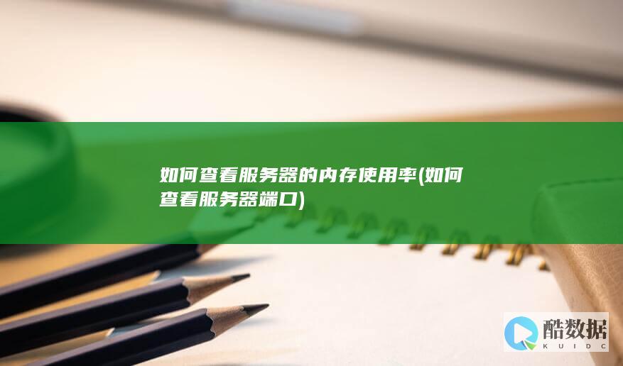 如何查看服务器的内存使用率 (如何查看服务器端口)