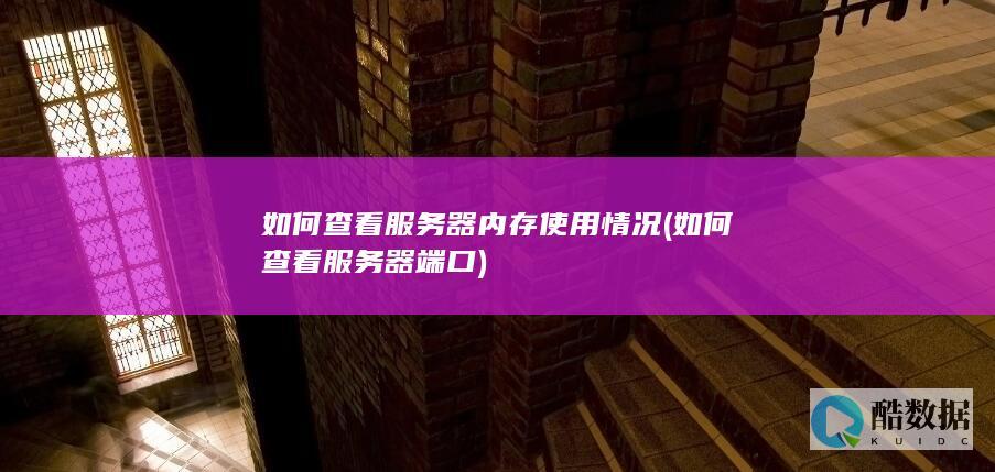 如何查看服务器内存使用情况 (如何查看服务器端口)