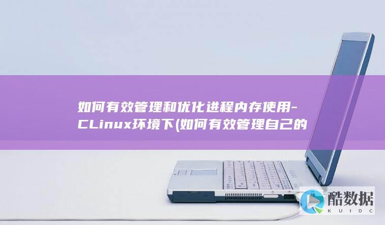 如何有效管理和优化进程内存使用-CLinux环境下 (如何有效管理自己的情绪)