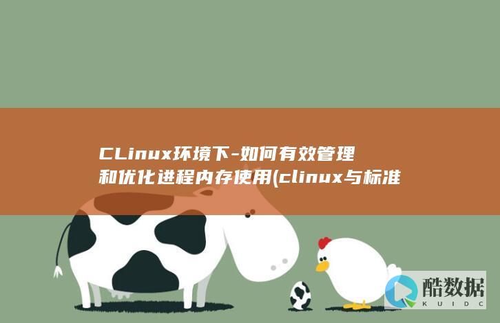 CLinux环境下-如何有效管理和优化进程内存使用 (clinux与标准linux最大的区别在于)