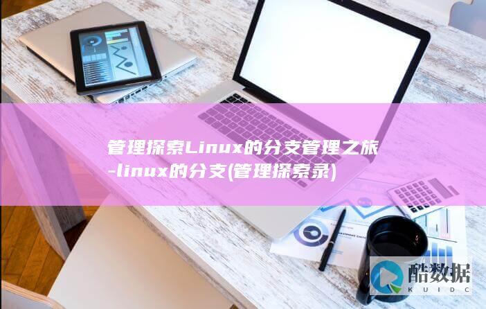 管理探索Linux的分支管理之旅-linux的分支 (管理探索录)