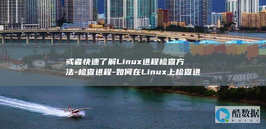 或者快速了解Linux进程检查方法-检查进程-如何在Linux上检查进程-linux (如果你想快速了解)