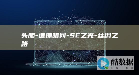 头脑-追捕暗网-SE之光-丝绸之路