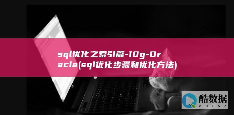 sql优化之索引篇-10g-Oracle (sql优化步骤和优化方法)