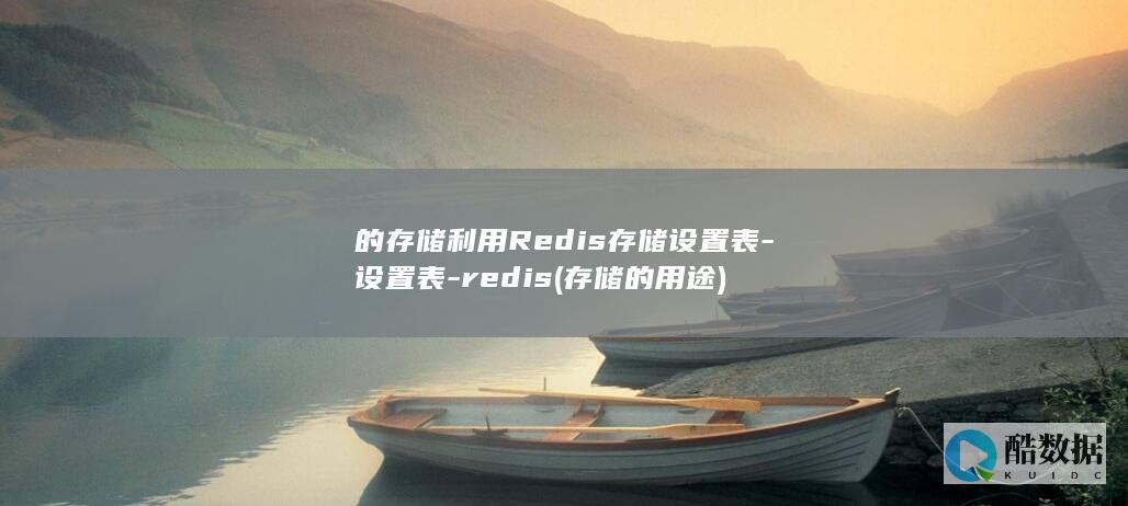 的存储利用Redis存储设置表-设置表-redis (存储的用途)