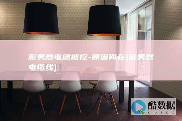 服务器电缆被挖-原因何在 (服务器电缆线)