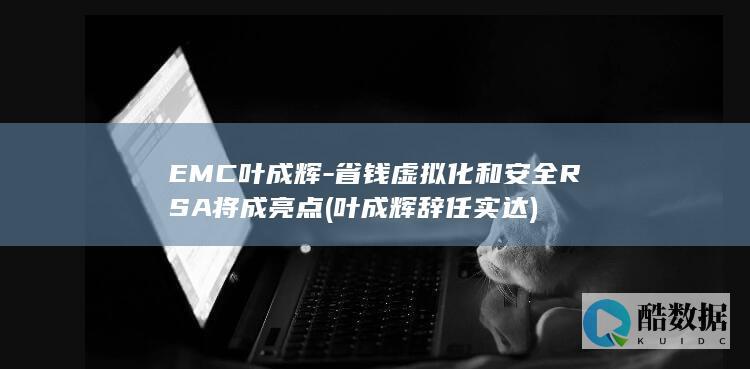 EMC叶成辉-省钱虚拟化和安全RSA将成亮点 (叶成辉辞任实达)