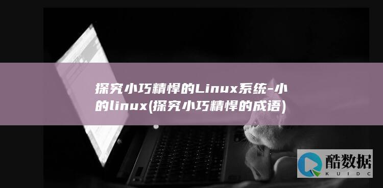 探究小巧精悍的Linux系统-小的linux (探究小巧精悍的成语)