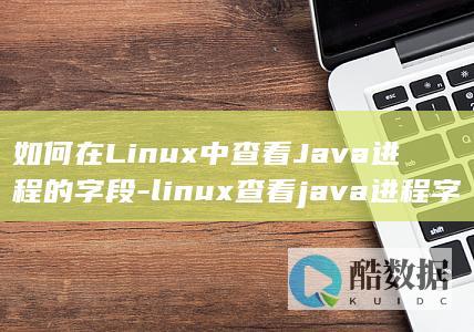 如何在Linux中查看Java进程的字段-linux查看java进程字段 (如何在linux运行exe)