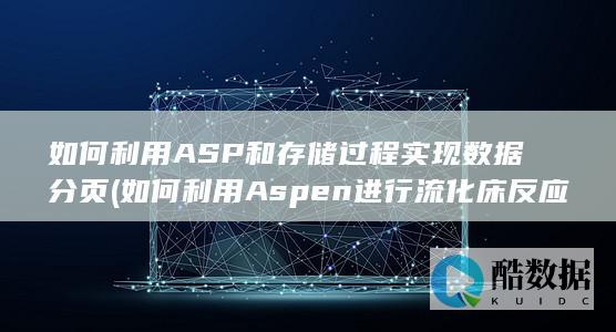 如何利用ASP和存储过程实现数据分页 (如何利用Aspen进行流化床反应器的模拟)