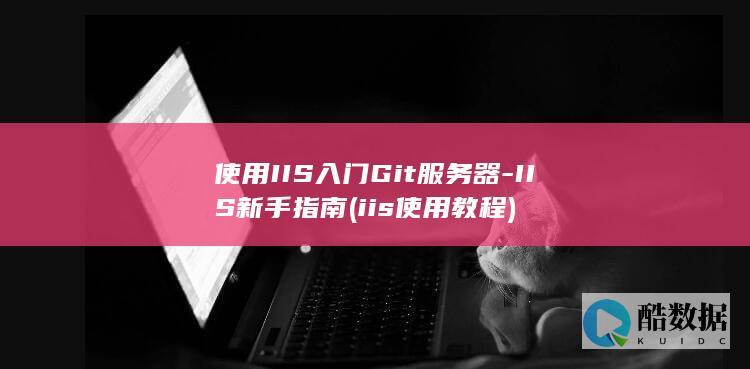 使用IIS入门Git服务器-IIS新手指南 (iis使用教程)