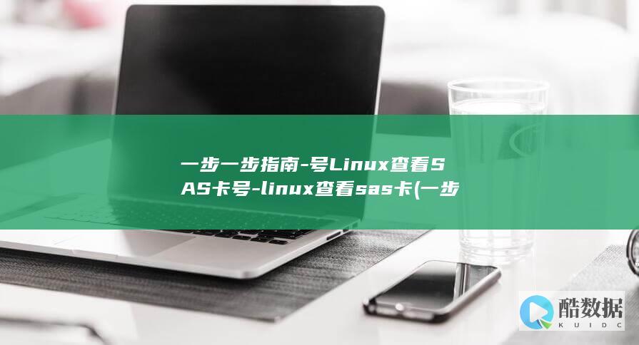 一步一步指南-号Linux查看SAS卡号-linux查看sas卡 (一步一步讲解)