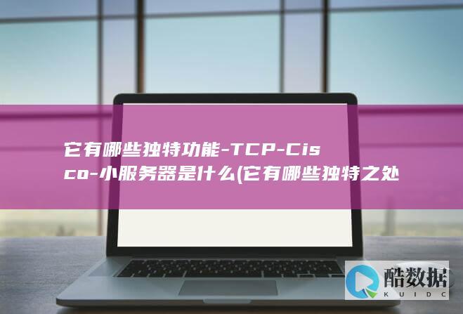 它有哪些独特功能-TCP-Cisco-小服务器是什么 (它有哪些独特之处)