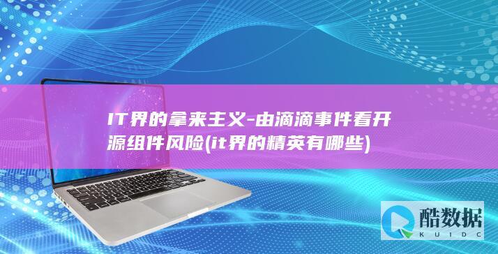 IT界的拿来主义-由滴滴事件看开源组件风险 (it界的精英有哪些)