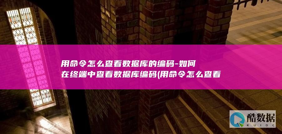 用命令怎么查看数据库的编码-如何在终端中查看数据库编码 (用命令怎么查看mac地址)