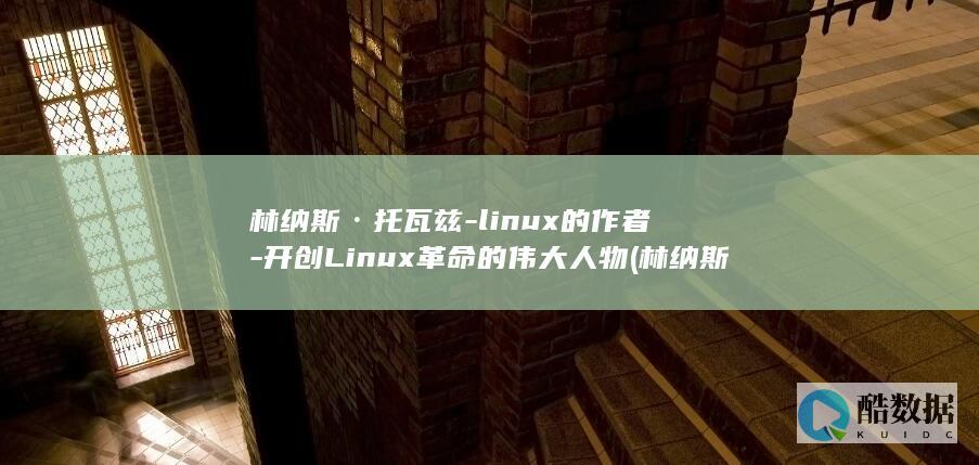 林纳斯·托瓦兹-linux的作者-开创Linux革命的伟大人物 (林纳斯·托瓦兹有多厉害)