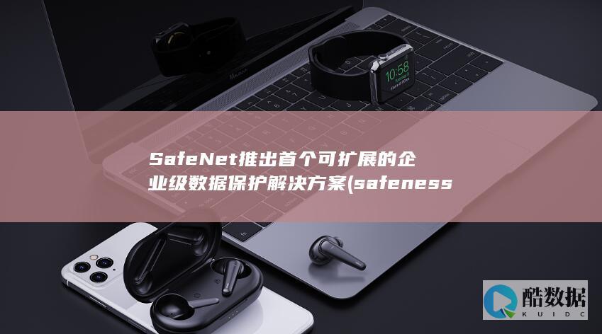SafeNet推出首个可扩展的企业级数据保护解决方案 (safeness)