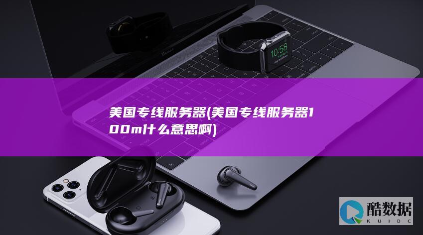 美国专线服务器 (美国专线服务器100m什么意思啊)