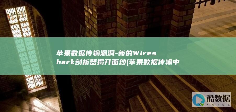 苹果数据传输漏洞-新的Wireshark剖析器揭开面纱 (苹果数据传输中断怎么继续)