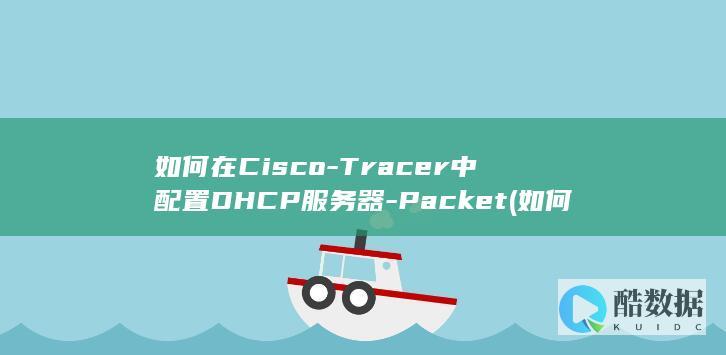 如何在Cisco-Tracer中配置DHCP服务器-Packet (如何在cis计划指导下进行包装设计)