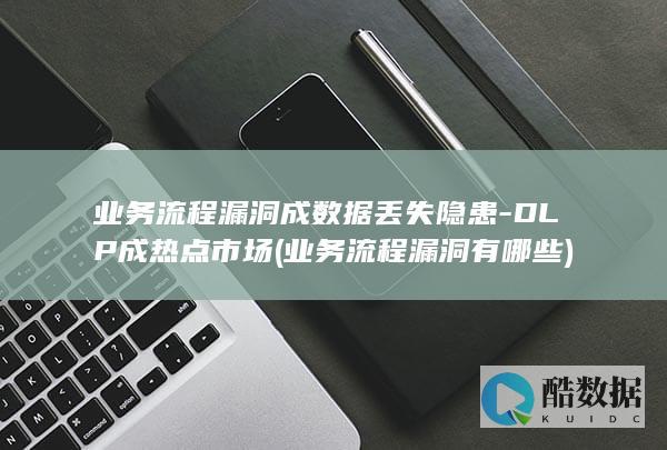 业务流程漏洞成数据丢失隐患-DLP成热点市场 (业务流程漏洞有哪些)