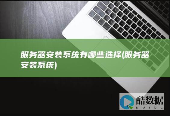 服务器安装系统有哪些选择 (服务器安装系统)