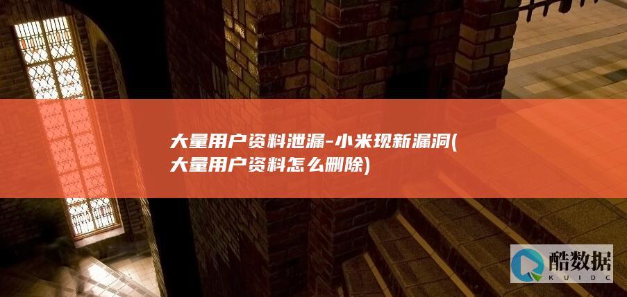 大量用户资料泄漏-小米现新漏洞 (大量用户资料怎么删除)