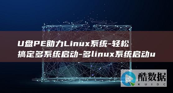 u盘pe工具是什么意思