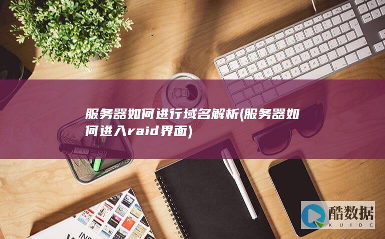 服务器如何进行域名解析 (服务器如何进入raid界面)