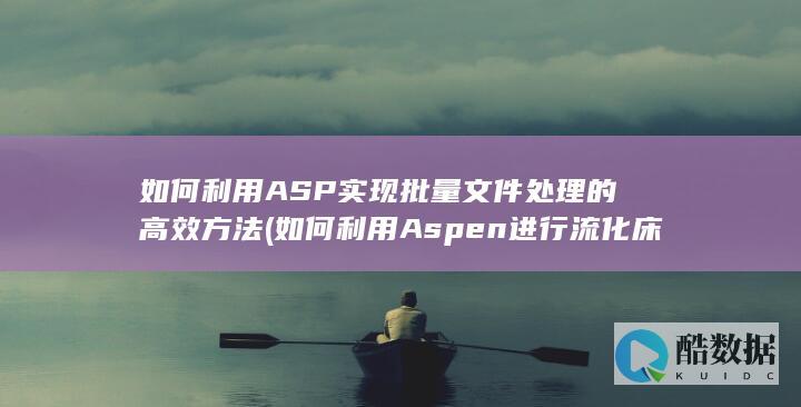如何利用ASP实现批量文件处理的高效方法 (如何利用Aspen进行流化床反应器的模拟)