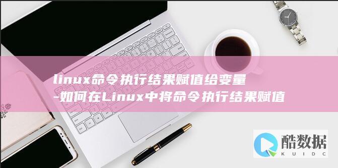 linux命令执行结果赋值给变量-如何在Linux中将命令执行结果赋值给变量 (linux命令大全详解pdf)
