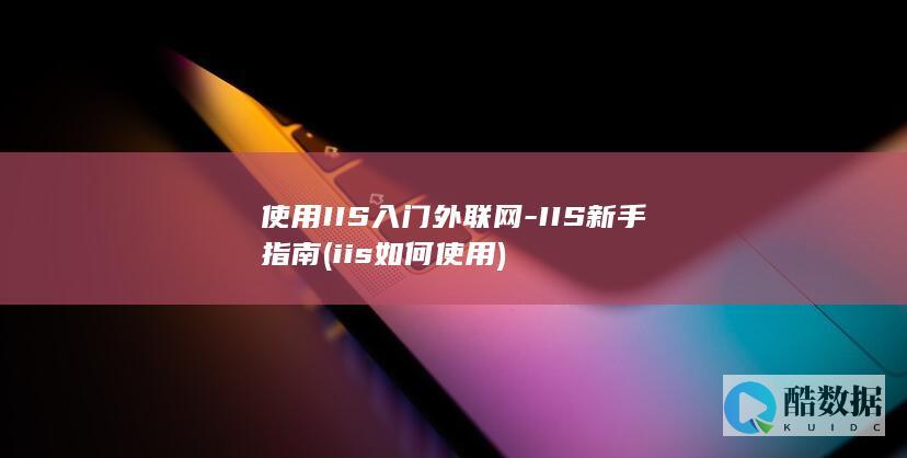 使用IIS入门外联网-IIS新手指南 (iis如何使用)