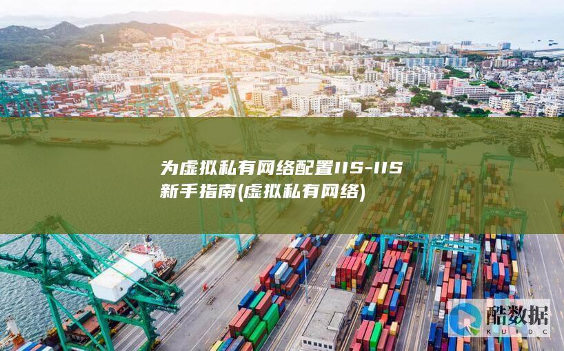 为虚拟私有网络配置IIS-IIS新手指南 (虚拟私有网络)