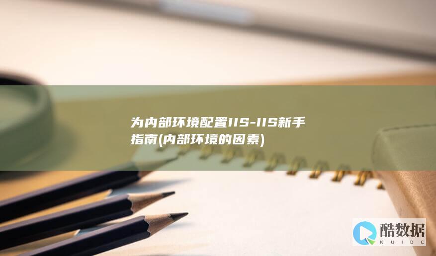 为内部环境配置IIS-IIS新手指南 (内部环境的因素)