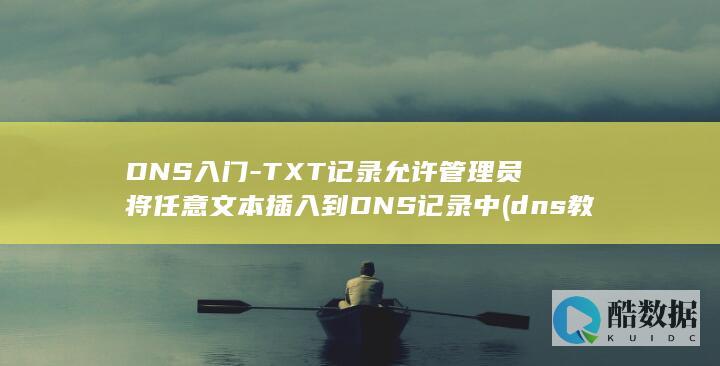 TXT记录允许管理员将任意文本插入到DNS记录中