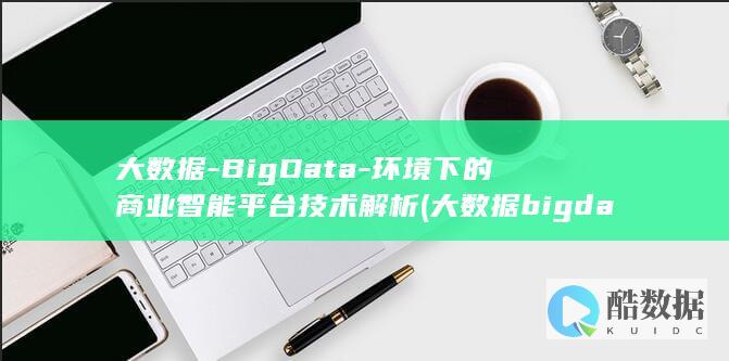 大数据-BigData-环境下的商业智能平台技术解析 (大数据big data)