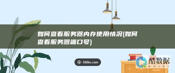如何查看服务器内存使用情况 (如何查看服务器端口号)