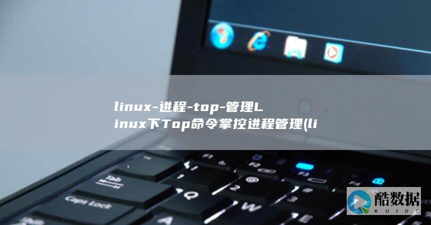 linux-进程-top-管理Linux下Top命令掌控进程管理 (linux系统)