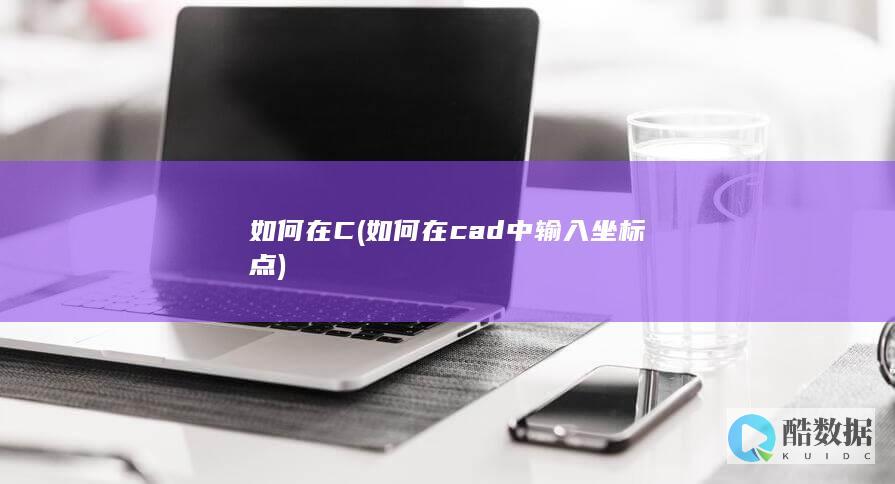 如何在C (如何在cad中输入坐标点)