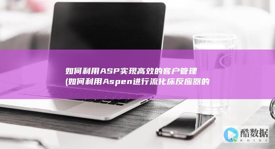 如何利用ASP实现高效的客户管理 (如何利用Aspen进行流化床反应器的模拟)