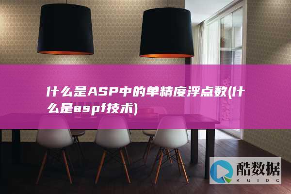 什么是ASP中的单精度浮点数 (什么是aspf技术)