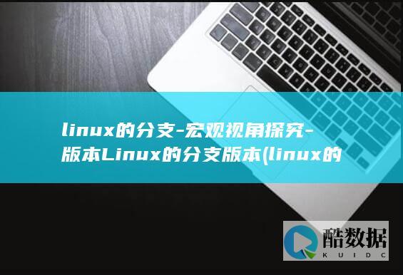 linux的分支-宏观视角探究-版本Linux的分支版本 (linux的特点)