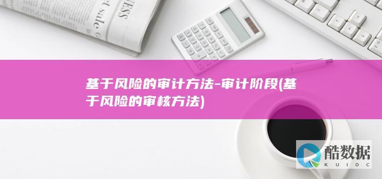基于风险的审计方法-审计阶段 (基于风险的审核方法)