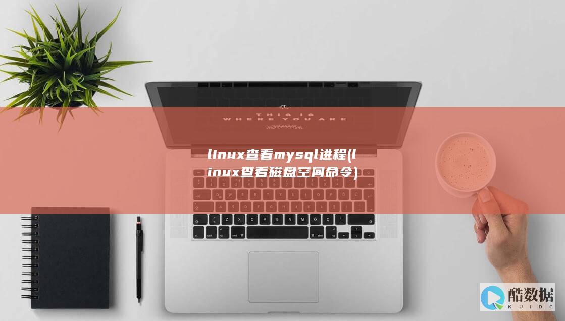 linux查看mysql进程 (linux查看磁盘空间 命令)