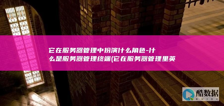 它在服务器管理中扮演什么角色-什么是服务器管理终端 (它在服务器管理里英文)