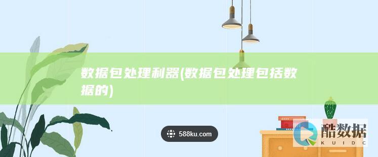 数据包处理利器 (数据包处理包括数据的)