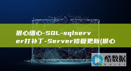 Server修复更新